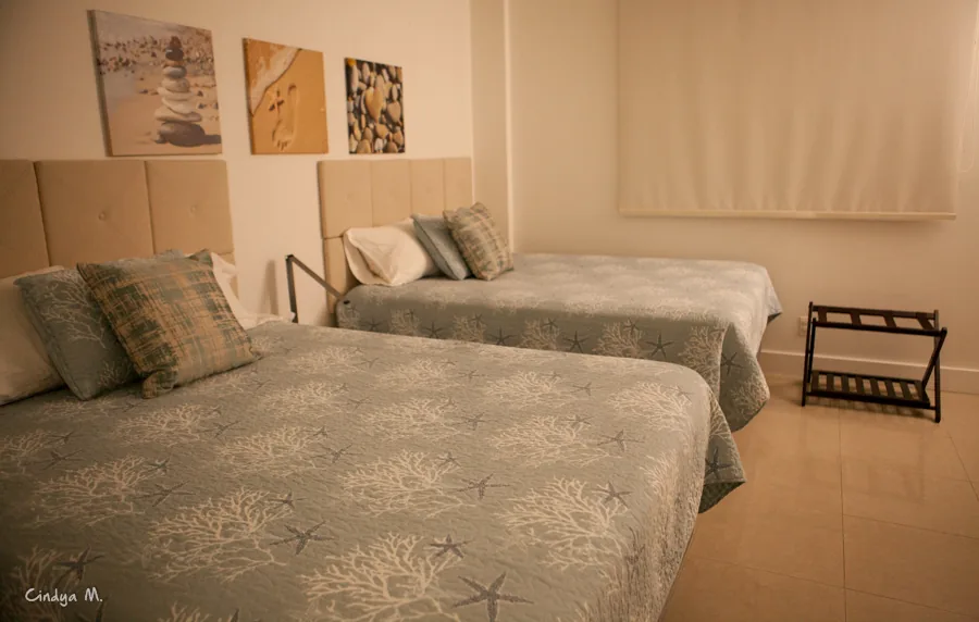 Two beds with blue-pattern linens in a bright bedroom